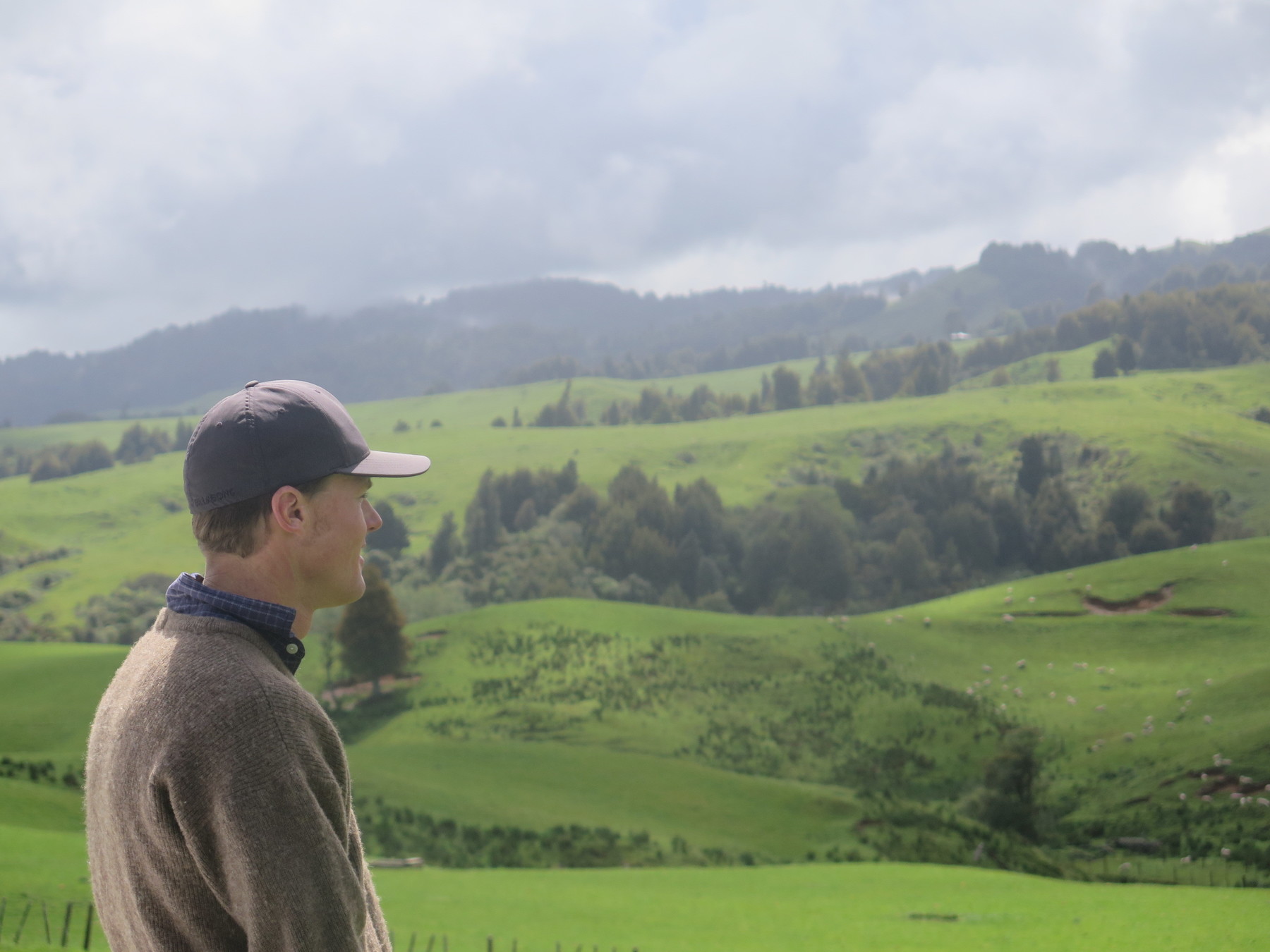 Ngaponga Farm, 635ha, Te Awamutu