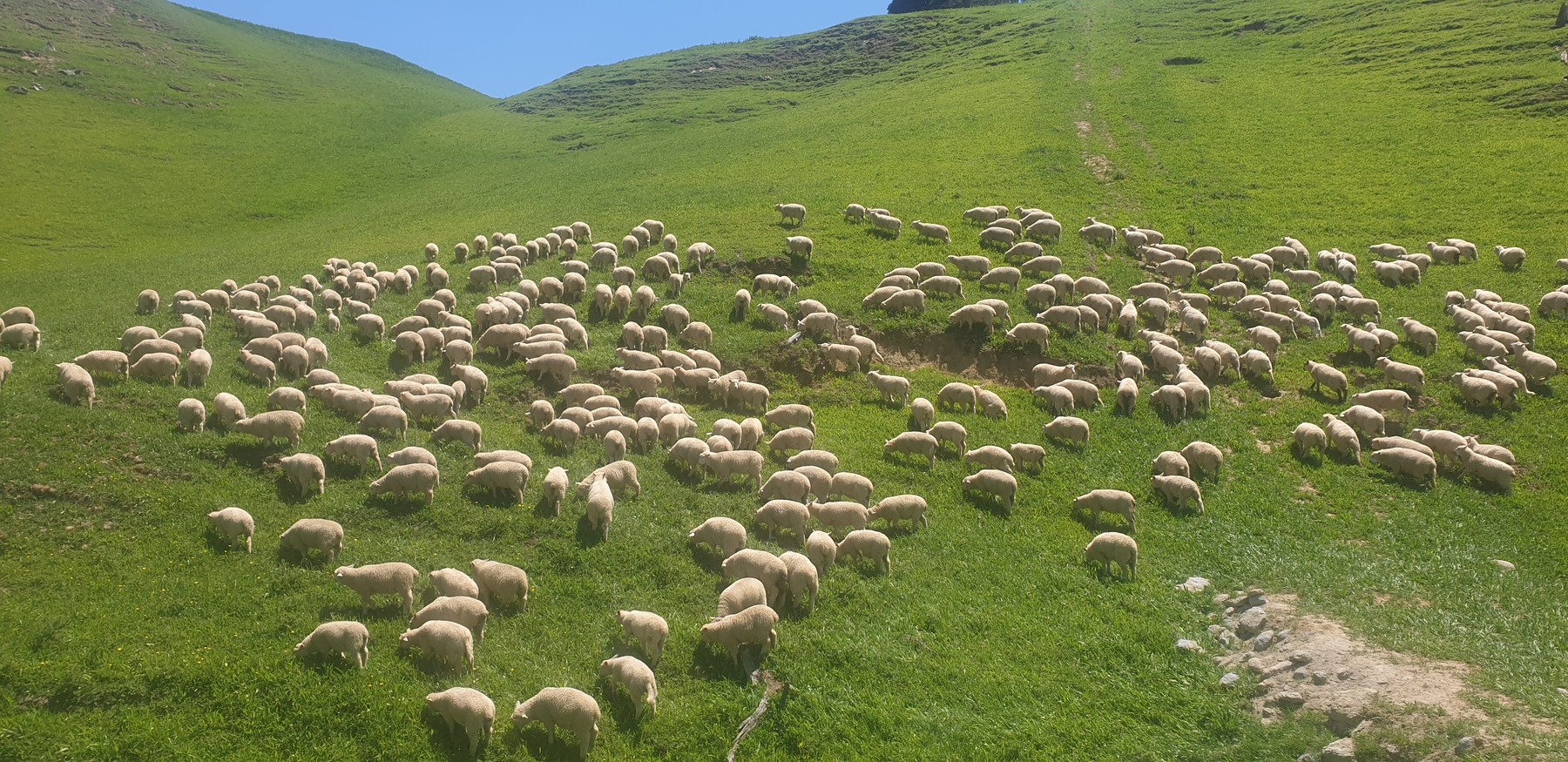 Stockerau Station-2550