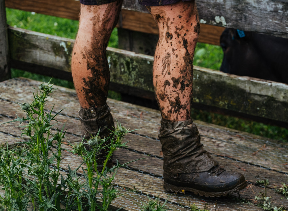 devorah-schacht-_xEAKkGokgA-unsplash 1.jpg