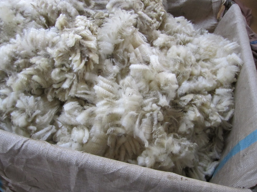 wool.JPG