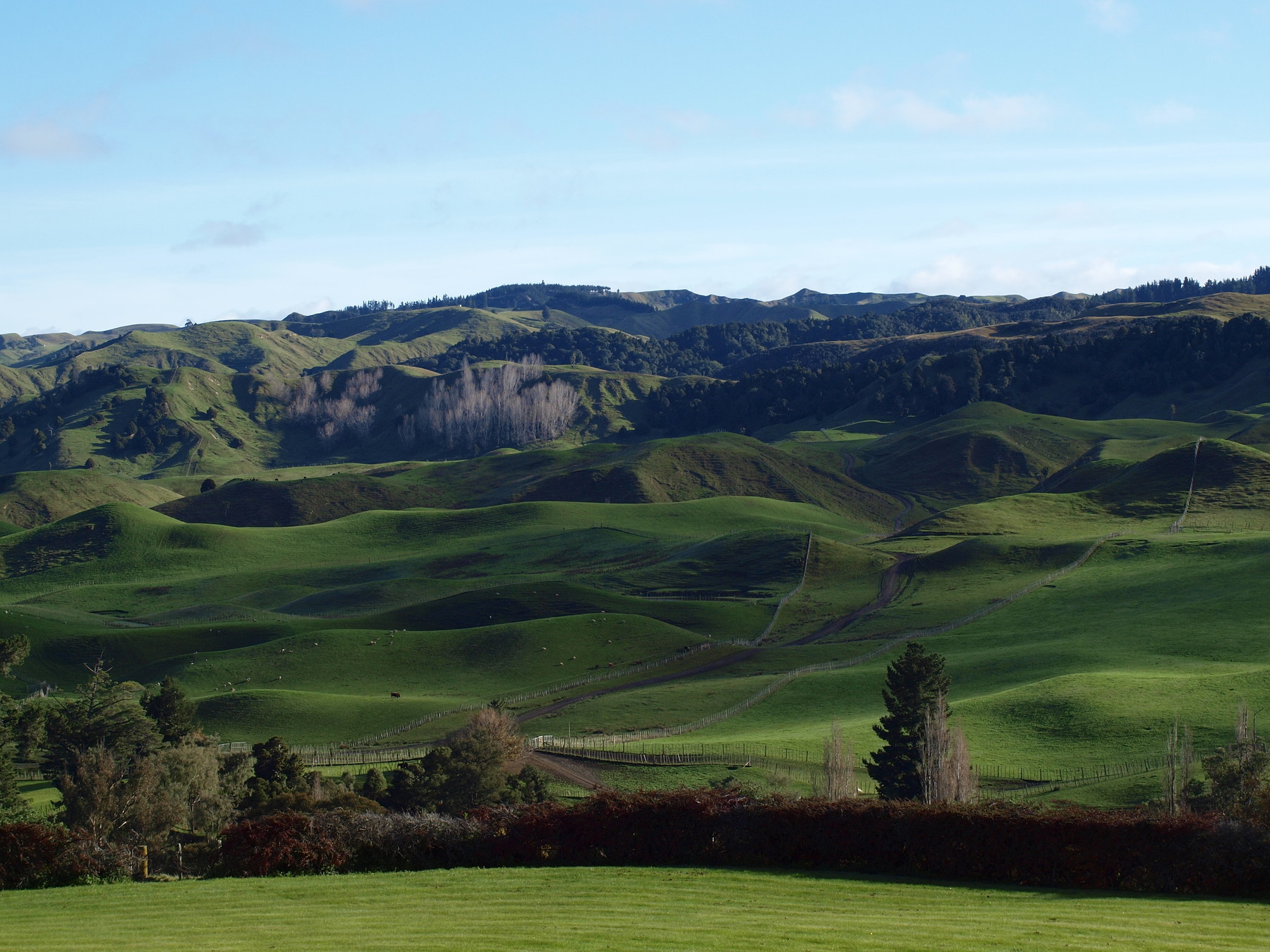 Kaingaroa Station, 1138ha, Taihape, realised