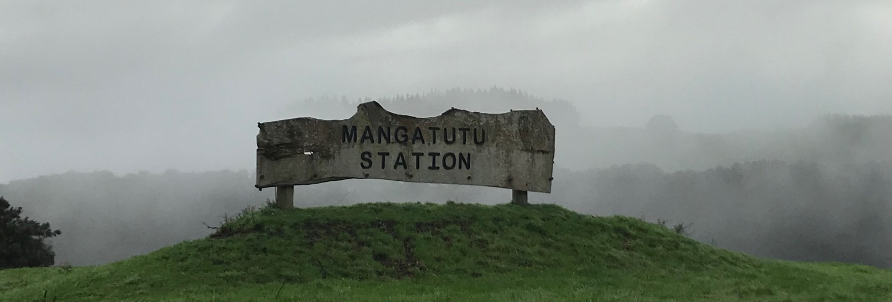 Mangatutu Station-d922