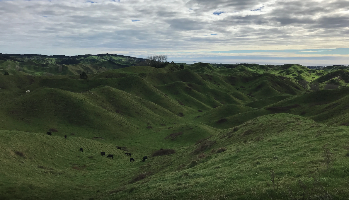 Stockerau Station-f68a